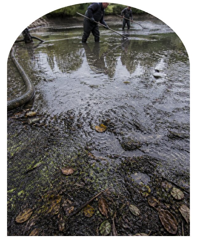 Очистка пруда в Салехарде от ила мусора и водорослей с вывозом